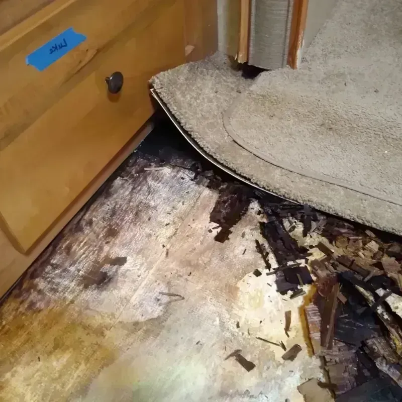 Best Wood Floor Water Damage Service in Corinna, ME